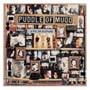 Puddle of Mudd - Life on Display